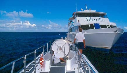 atlantis premium submarine tour waikiki