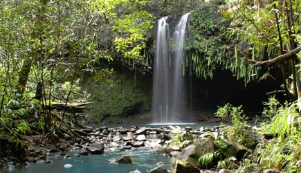 AdventureInHawaii.com | East Maui Waterfall Hike ...