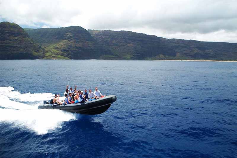 AdventureInHawaii.com | Kauai Whale Watching - AdventureInHawaii.com