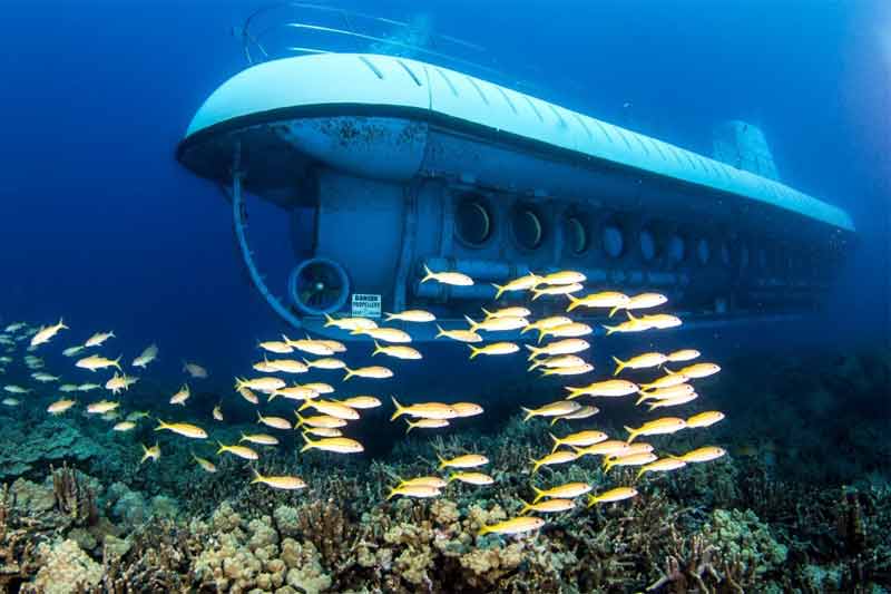 Atlantis Submarine Image