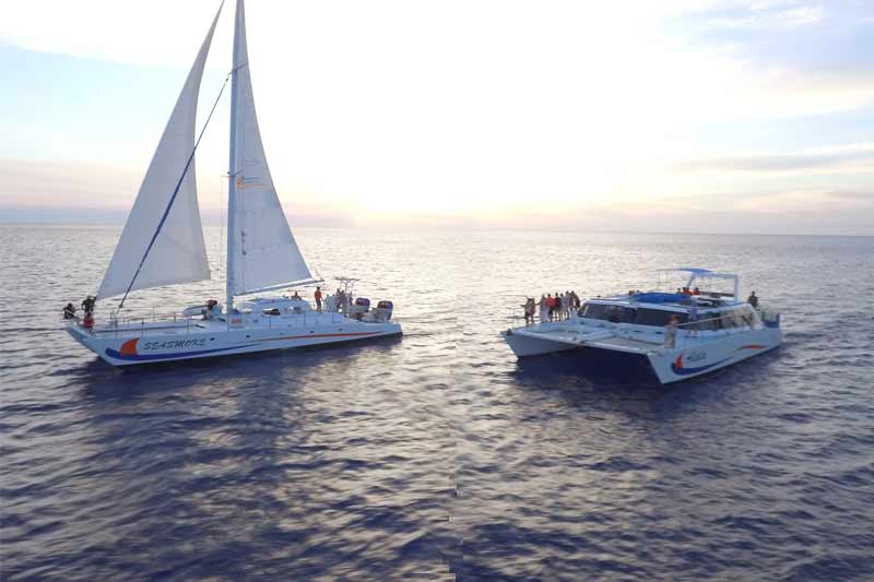 sea smoke catamaran