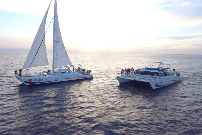 spirit of aloha catamaran snorkel sail