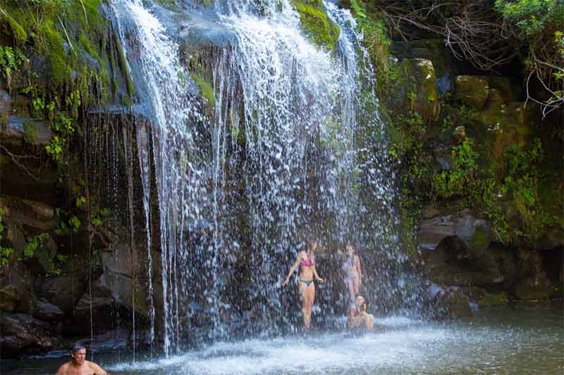 Kohala Waterfall Hiking Image