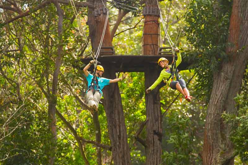 Kohala Zipline Image