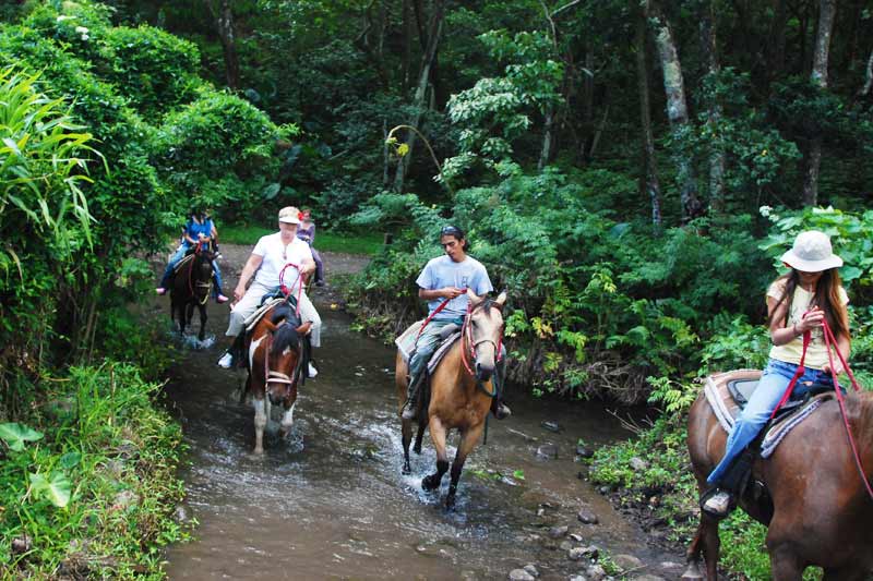 Waipio on Horseback Image