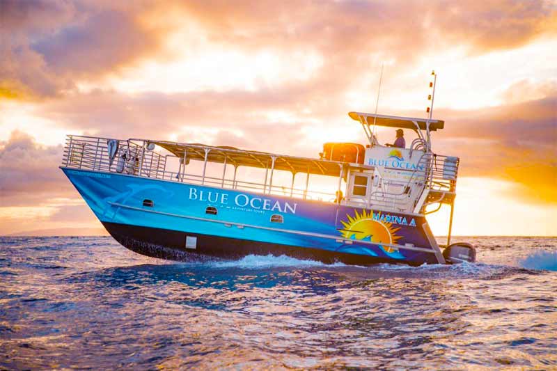 blue ocean adventures zodiac tour