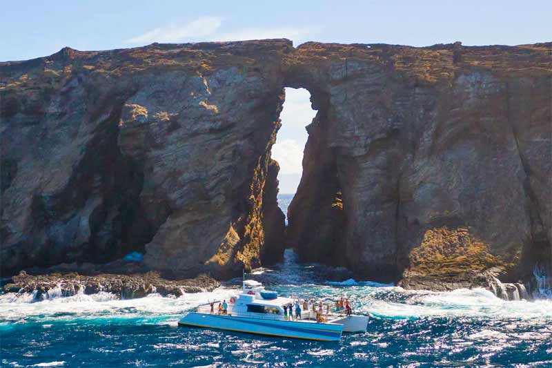 kauai niihau snorkel tour