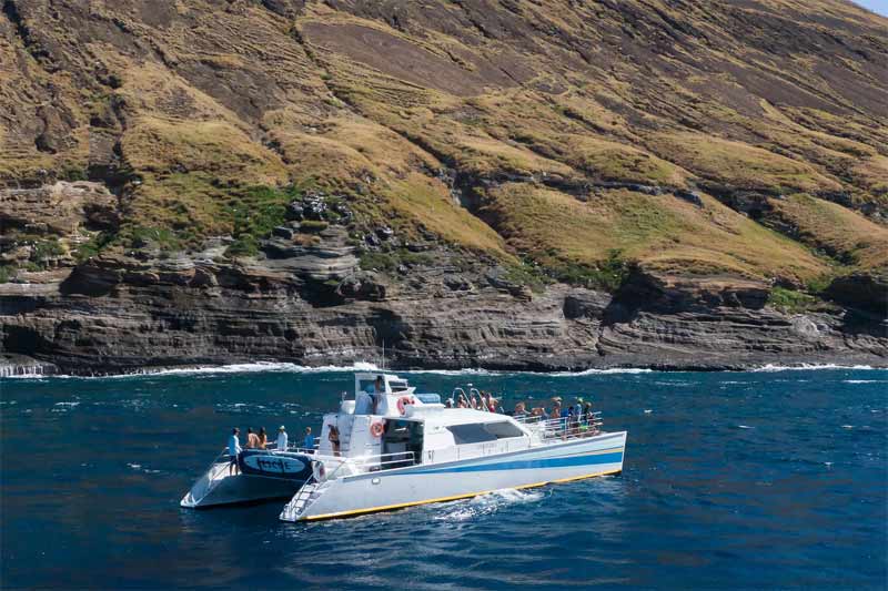 kauai niihau snorkel tour