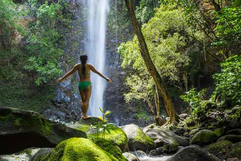 kauai kayak tour secret falls