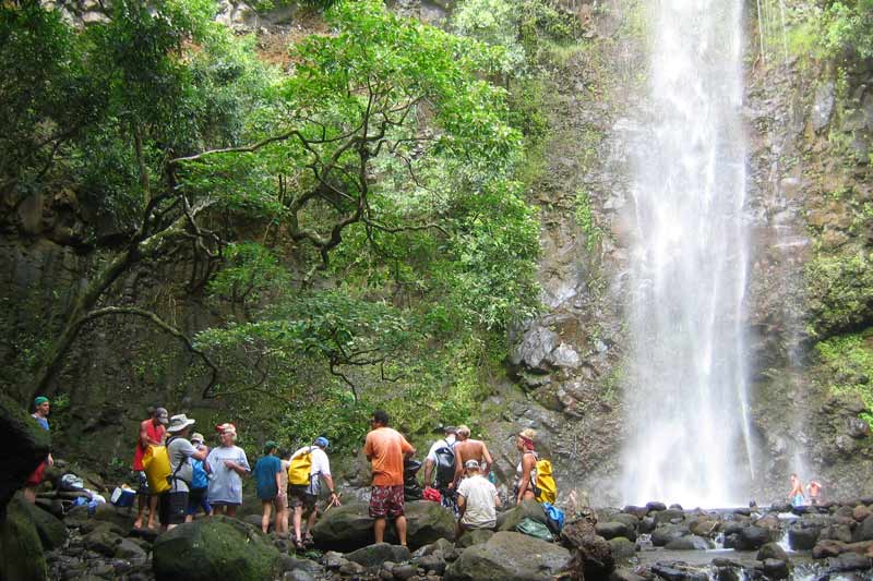 Secret Falls Kayak Tour 1506