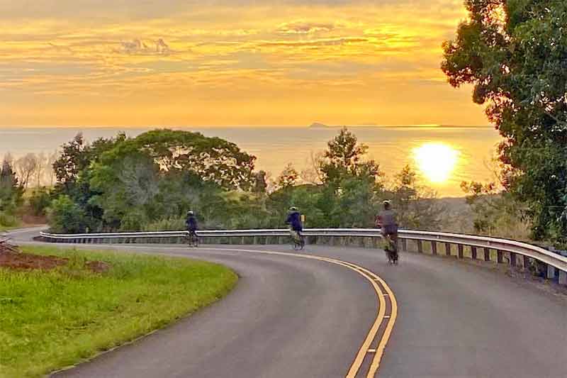 waimea canyon bicycle tour