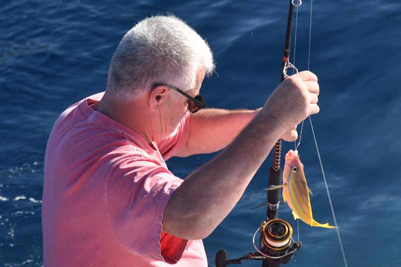 Calypso Blue Fin Blue Fin Trolling Reel