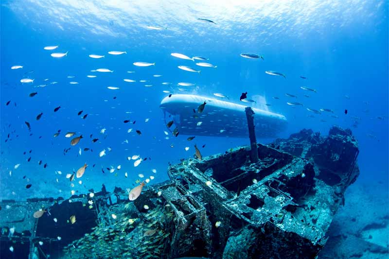 Atlantis Submarine Maui Image