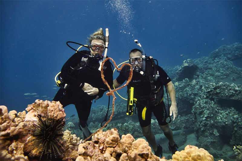 Maui Scuba Image