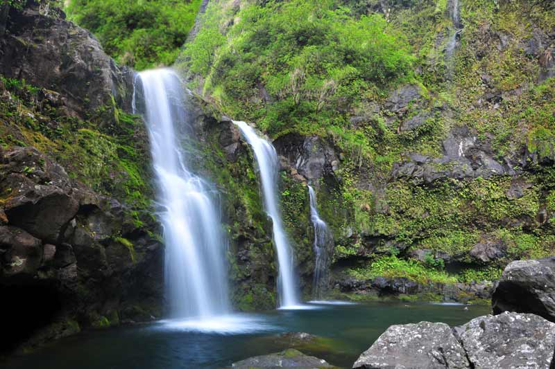 Maui Sightseeing  Image