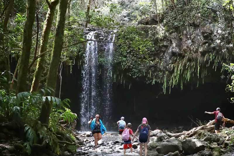 Hike Maui Waterfall Image