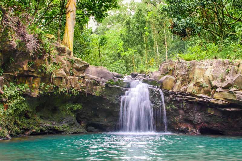 What Shoes To Wear On Our Waterfall & Rainforest Hikes (And Which Ones Not  To!)