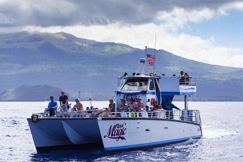 Maui Magic Snorkel Image