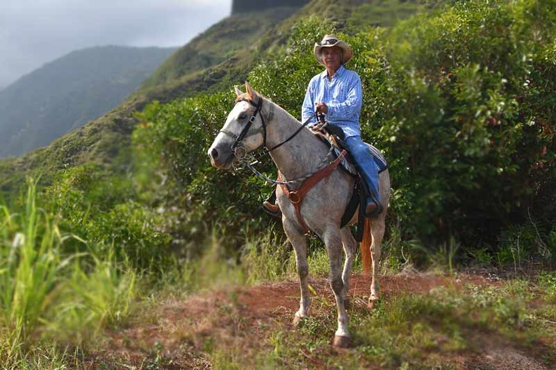Maui Mountain Activities Horseback Image
