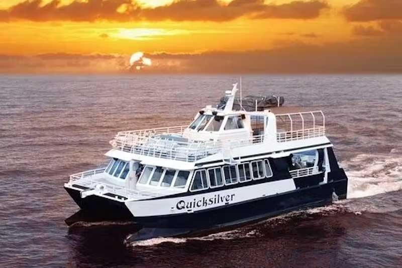 Quicksilver Sunset Dinner Cruise Image