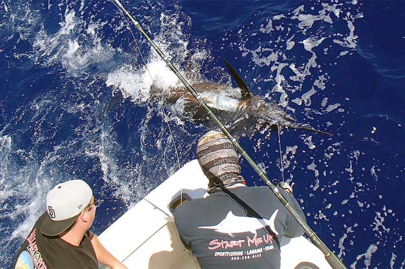 Maui Deep Sea Fishing, Sportfishing Share Tours