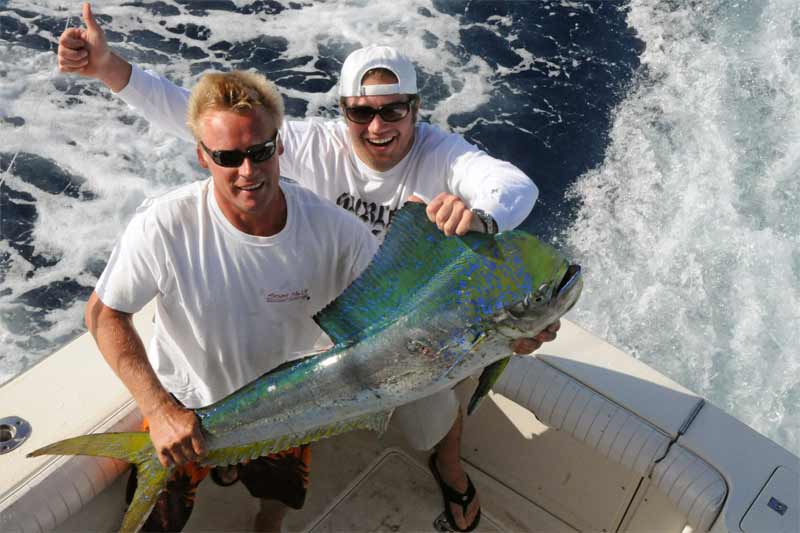 Maui game fish caught sport fishing: marlin, mahi mahi, ahi, ono