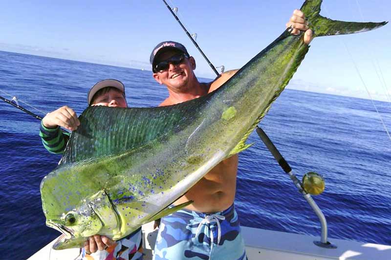 Maui game fish caught sport fishing: marlin, mahi mahi, ahi, ono