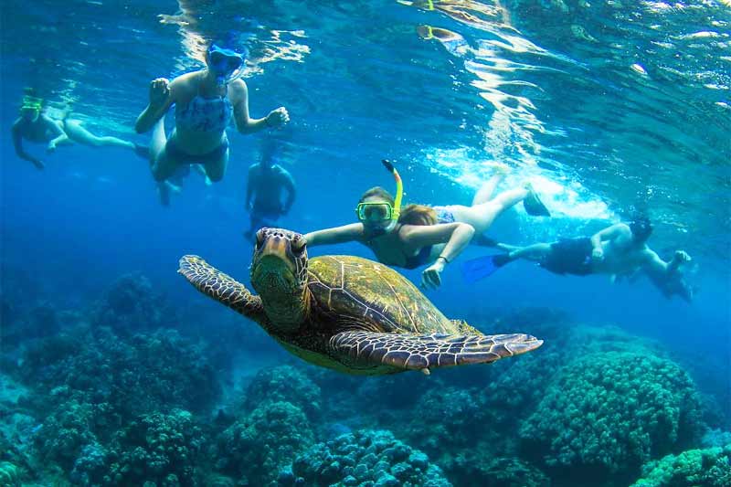 Maui Snorkeling Image