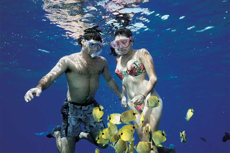 kaanapali snorkeling tours