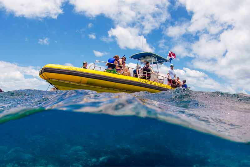 Kona Dolphin Watch Tour & Snorkeling Ocean Rafting Adventure