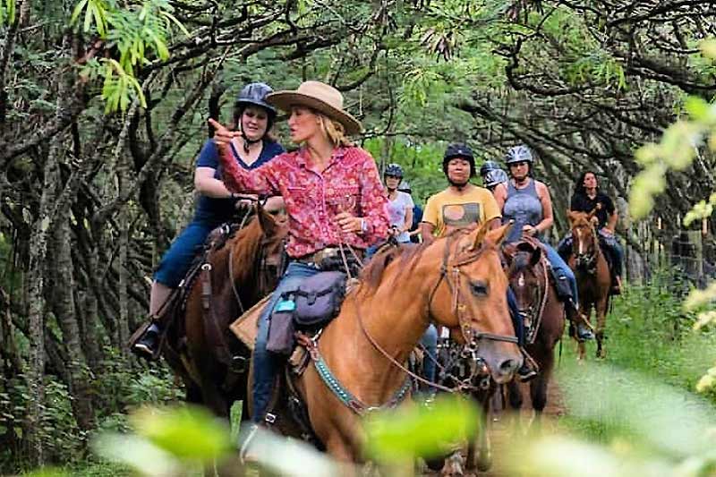 Gunstock Ranch Horseback Riding Image