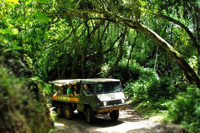 movie location tour hawaii