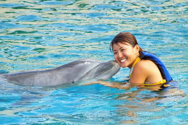 Dolphins Up-Close Tour and Animal Experience