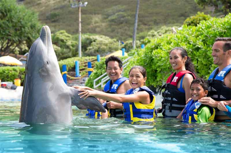 Groups Rates  Sea Life Park Hawaii