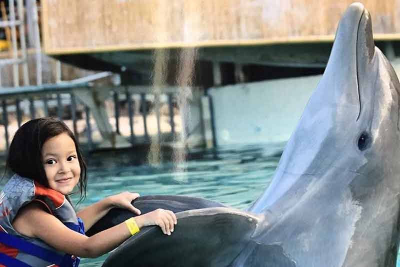 Sea Life Park Dolphin Interactions   Sea Life Park 11 