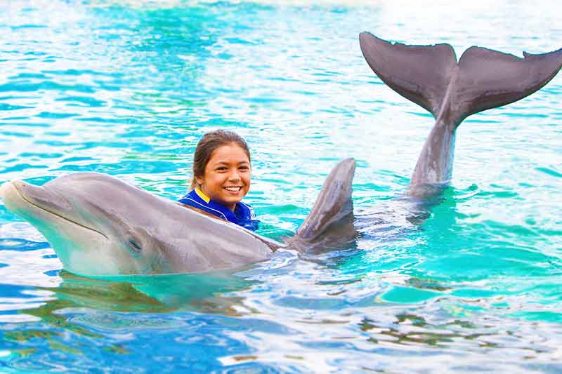 Groups Rates  Sea Life Park Hawaii