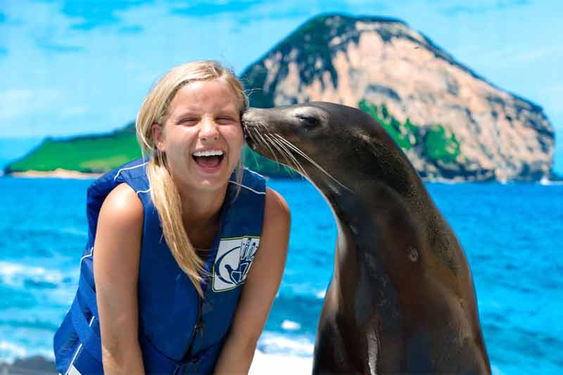 Sea Life Park Dolphin Interactions   Sea Life Park 8 