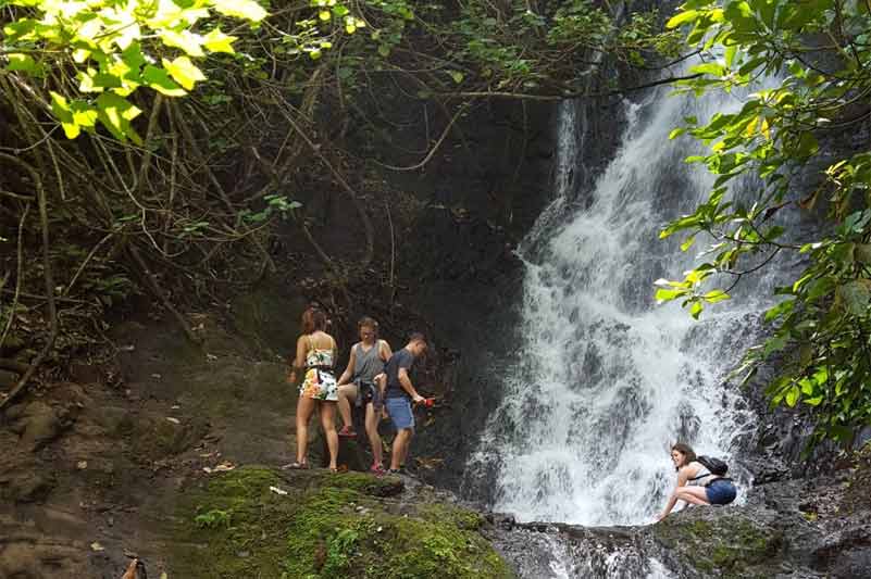 Koolau Waterfall Hike Image