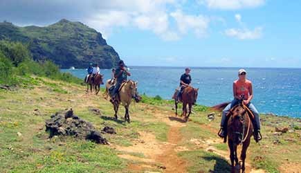 Adventureinhawaii Cjm Les Ocean View Horseback Riding