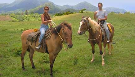 Adventureinhawaii Kauai Kauai Horseback Riding